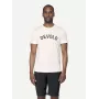 Devold Classic Legacy Tee Merino Wool T-Shirt - biela, veľkosť L