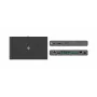 Kramer Electronics SWT3-21-HU-TR 2x1 USB-C/HDMI prepínač a predlžovač 4K@60Hz HDBaseT 3.0