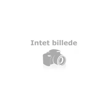 Belkin InvisiGlass ochranné sklo displeja pre iPhone 11 / XR - čierna