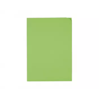 ELCO Ordo Discreta organizačné dosky A4, 220 x 310 mm, 120 g/m², intenzívne zelená, 100 ks (29466.62)