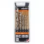 ALPEN-MAYKESTAG Alpen PTM 5 Profi Holz 4-5-6-8-10 sada vrtákov do dreva, 5 ks, 4-10 mm