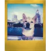Polaroid Go / Go Gen 2 instantný film – 16 záberov – zlatý rámik