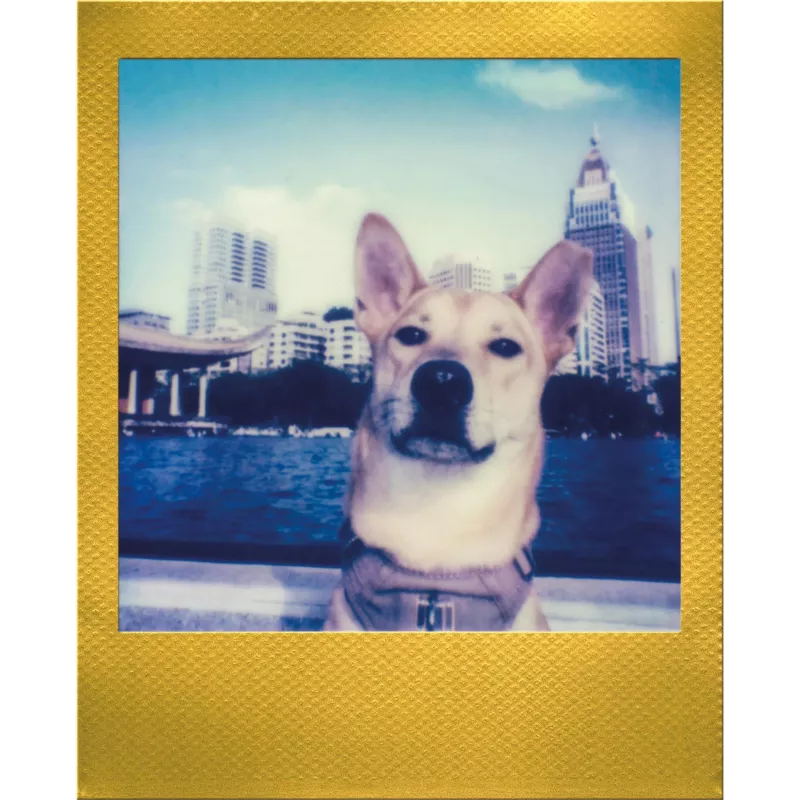 Polaroid Go / Go Gen 2 instantný film – 16 záberov – zlatý rámik