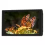 Portkeys HD7T 7 inch 2200 cd/m² IPS on-camera monitor s 3D LUT