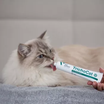 VETEXPERT TrichoCat Anti-Hairball pasta pre mačky 120 g