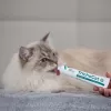VETEXPERT TrichoCat Anti-Hairball pasta pre mačky 50 g