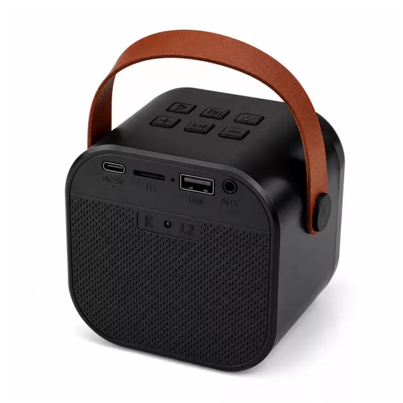 LEAN karaoke set Bluetooth reproduktor dva mikrofóny LED svetlá čierny