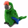 LEAN TOYS plyšový papagáj ara exotický vták maskot plyšová hračka zelená 24 cm