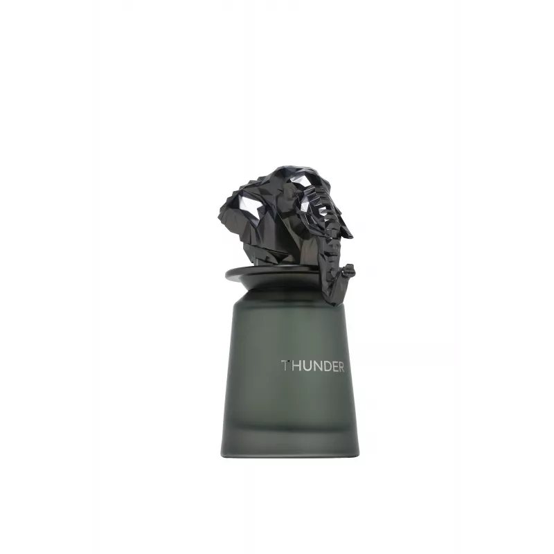 FRENCH AVENUE Thunder Eau de Parfum sprej 100ml