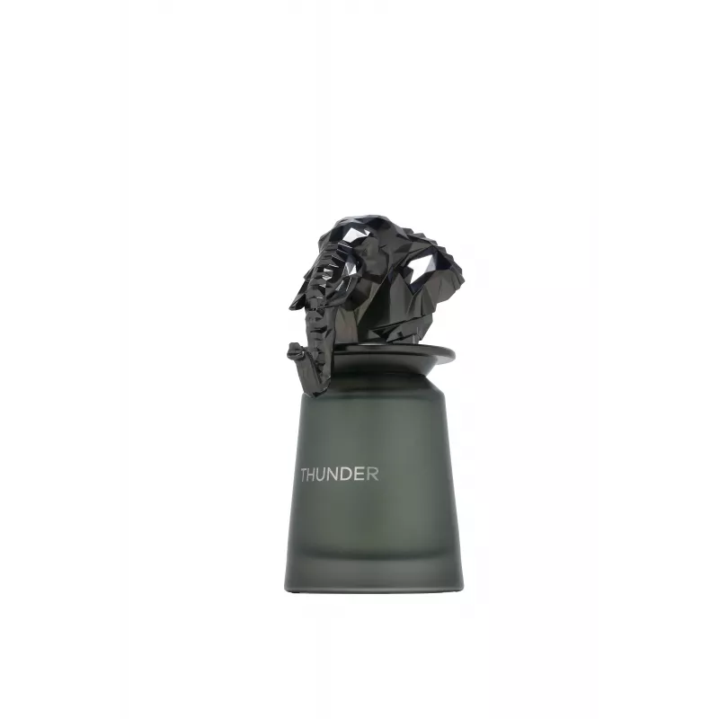 FRENCH AVENUE Thunder Eau de Parfum sprej 100ml
