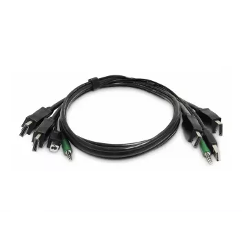 StarTech.com 2-portový DVI-I USB KVM switch s podporou audia - TAA-konformný