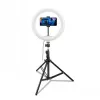 CELLY Ring Professional statív so svetlom - 160 cm, 10