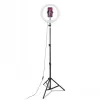 CELLY Ring Professional statív so svetlom - 160 cm, 10