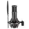 sE Electronics sE2200 Black štúdiový kondenzátorový mikrofón