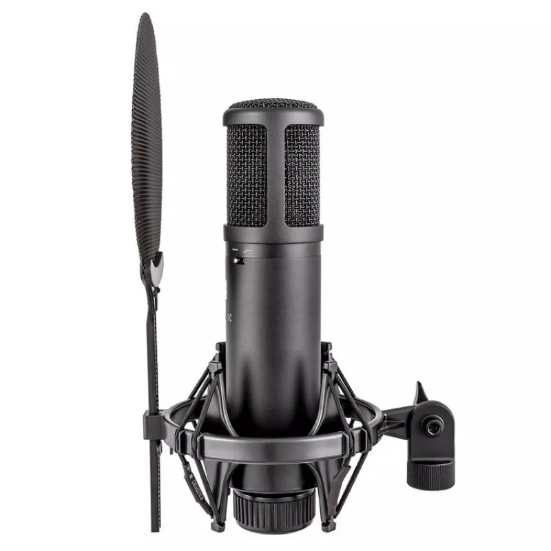 sE Electronics sE2200 Black štúdiový kondenzátorový mikrofón