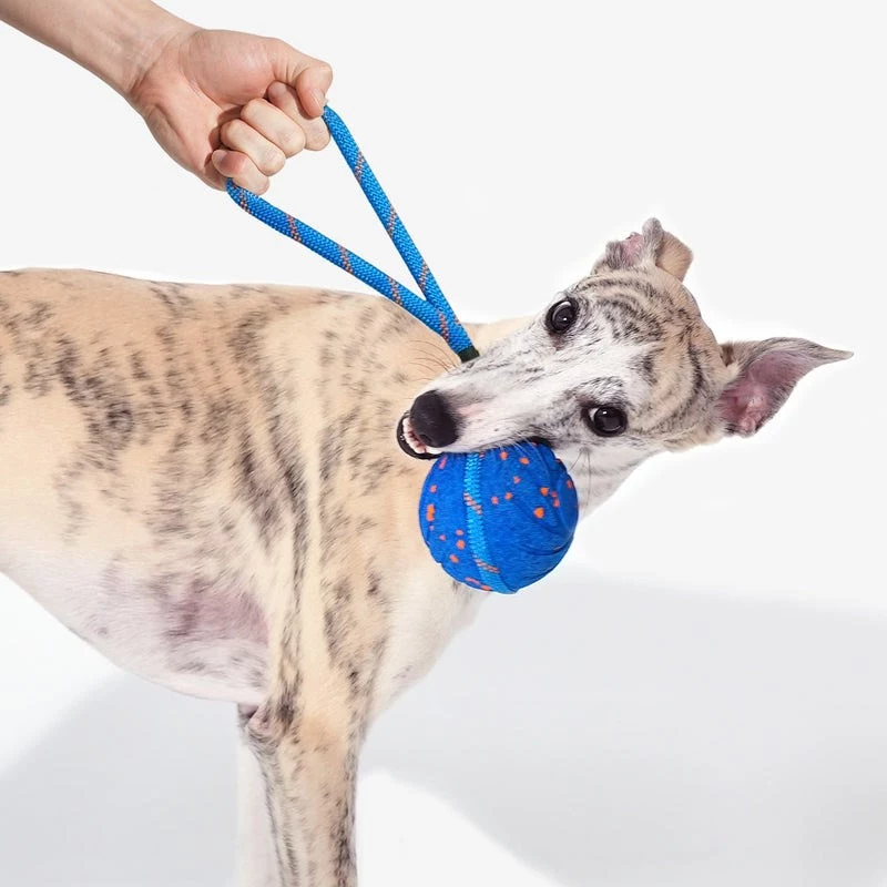 Cheerble Wicked Ball Air Rope hračka pre psov, Royal Blue