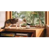 PETLIBRO Scout Smart AI kamera