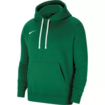 Nike Team Club 20 pánska mikina s kapucňou borovicová zelená/biela