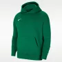 Nike Park 20 fleece mikina s kapucňou borovicová zelená CW6896-302