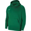 Nike Park 20 fleece mikina s kapucňou borovicová zelená CW6896-302