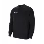 Nike Park 20 pánska fleece mikina s kapucňou čierna CW6902-010