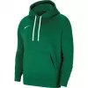 Nike Park 20 mikina s kapucňou Pine Green CW6957 302 pánska fleece mikina