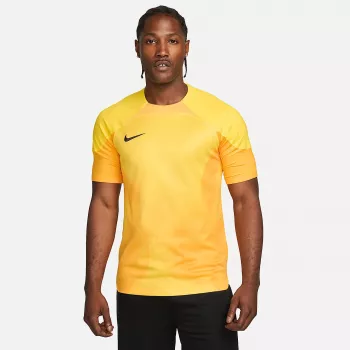 Nike Dri-FIT ADV Gardien IV pánsky brankársky dres Opti Yellow/čierna M