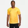 Nike Dri-FIT ADV Gardien IV pánsky brankársky dres Opti Yellow/čierna M