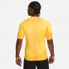 Nike Dri-FIT ADV Gardien IV pánsky brankársky dres Opti Yellow/čierna M