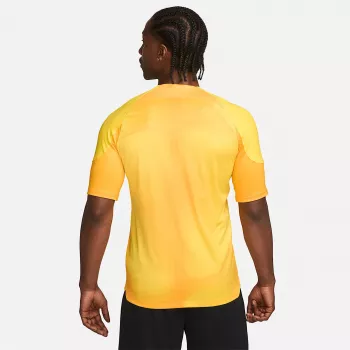Nike Dri-FIT ADV Gardien IV pánsky brankársky dres Opti Yellow/čierna M