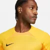 Nike Dri-FIT ADV Gardien IV pánsky brankársky dres Opti Yellow/čierna M