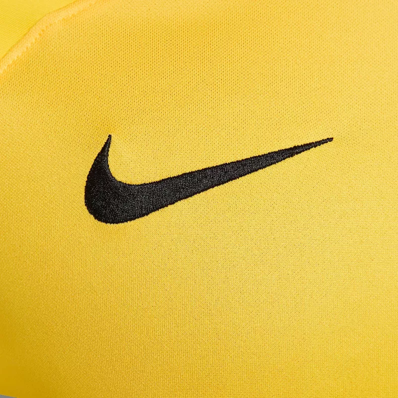 Nike Dri-FIT ADV Gardien IV pánsky brankársky dres Opti Yellow/čierna M