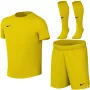 Nike Dri-FIT Park VIII detská futbalová súprava žltá HV8260 719 XL