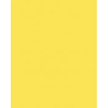 Folia 614/50 12 žltý A4 kartón 300 g/m² 50 listov