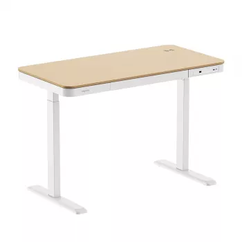 LogiLink výškovo nastaviteľný stôl, jeden motor, 118x60cm, s bezdrôtovým nabíjaním, biely