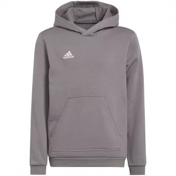 adidas Entrada 22 mikina s kapucňou sivá mládež 140 cm