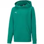 PUMA teamGOAL 23 Casuals junior mikina s kapucňou lesná zelená 128