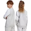 adidas Squadra 25 Sweat Crew Detská mikina sivá JD4824 152cm