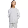 adidas Squadra 25 Sweat Crew Detská mikina sivá JD4824 152cm