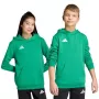 adidas Entrada 26 Hoody detská zelená 140 cm