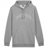 PUMA Essentials+ Logo LAB Gradient Hoodie FL Grey pánske fleece pulóver veľkosť L