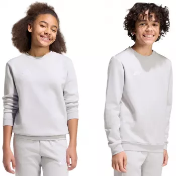 adidas Entrada 26 mikina deti sivá 164 cm