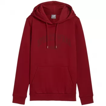 PUMA pánska Essentials+ Logo LAB Hoodie FL bordová veľkosť L