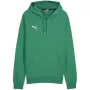 PUMA Team Goal Casuals mikina s kapucňou Forest Night pánska Medium
