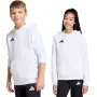 adidas Entrada 26 Hoody detská biela JZ6561 164cm