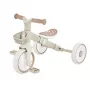 Tribike vzdelávacie trojkolky 2-in-1 Plus 737-466