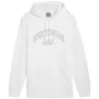 PUMA ESS+ Logo LAB Gradient mikina s kapucňou FL Puma White Medium