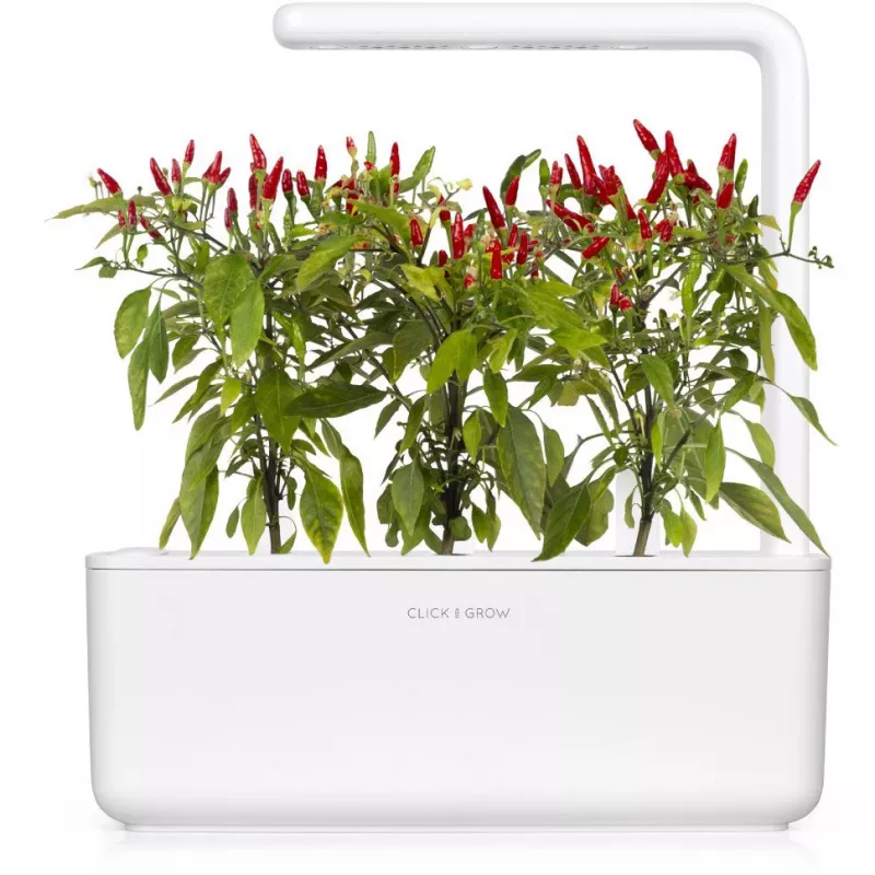 Click & Grow Piri-Piri-Chili rastlinné kapsuly pre Smart Garden, balenie 3 ks (SGR67X3)