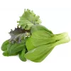 Click & Grow PPMAGX9 Smart Garden rastlinné kapsuly balenie 9 ks (zmiešané druhy, biologicky odbúrateľné, s krytmi)