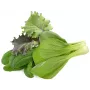 Click & Grow PPMAGX9 Smart Garden rastlinné kapsuly balenie 9 ks (zmiešané druhy, biologicky odbúrateľné, s krytmi)